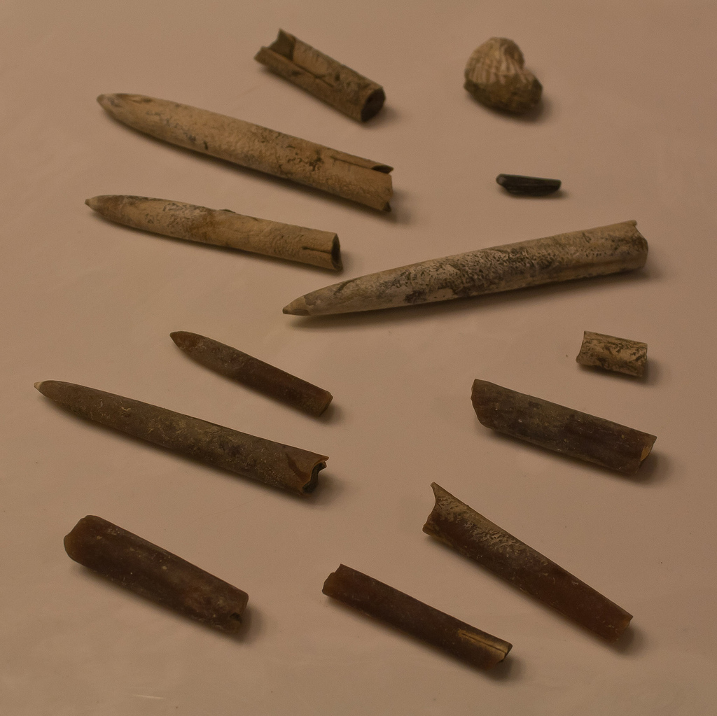 6852716289_cca3c0a635_b