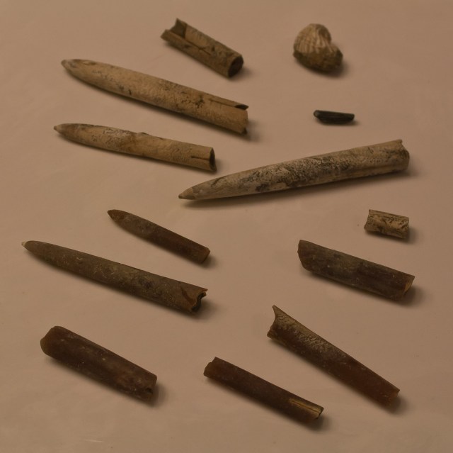 6852716289_cca3c0a635_b