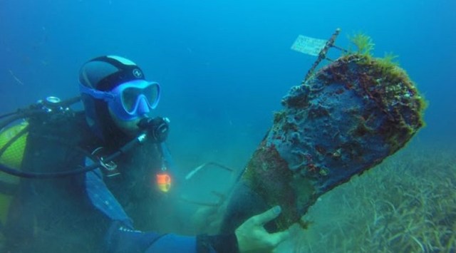 muerte-masiva-nacra-pinna-nobilis1