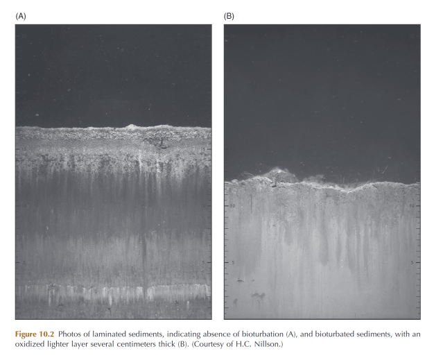 bioturb.PNG