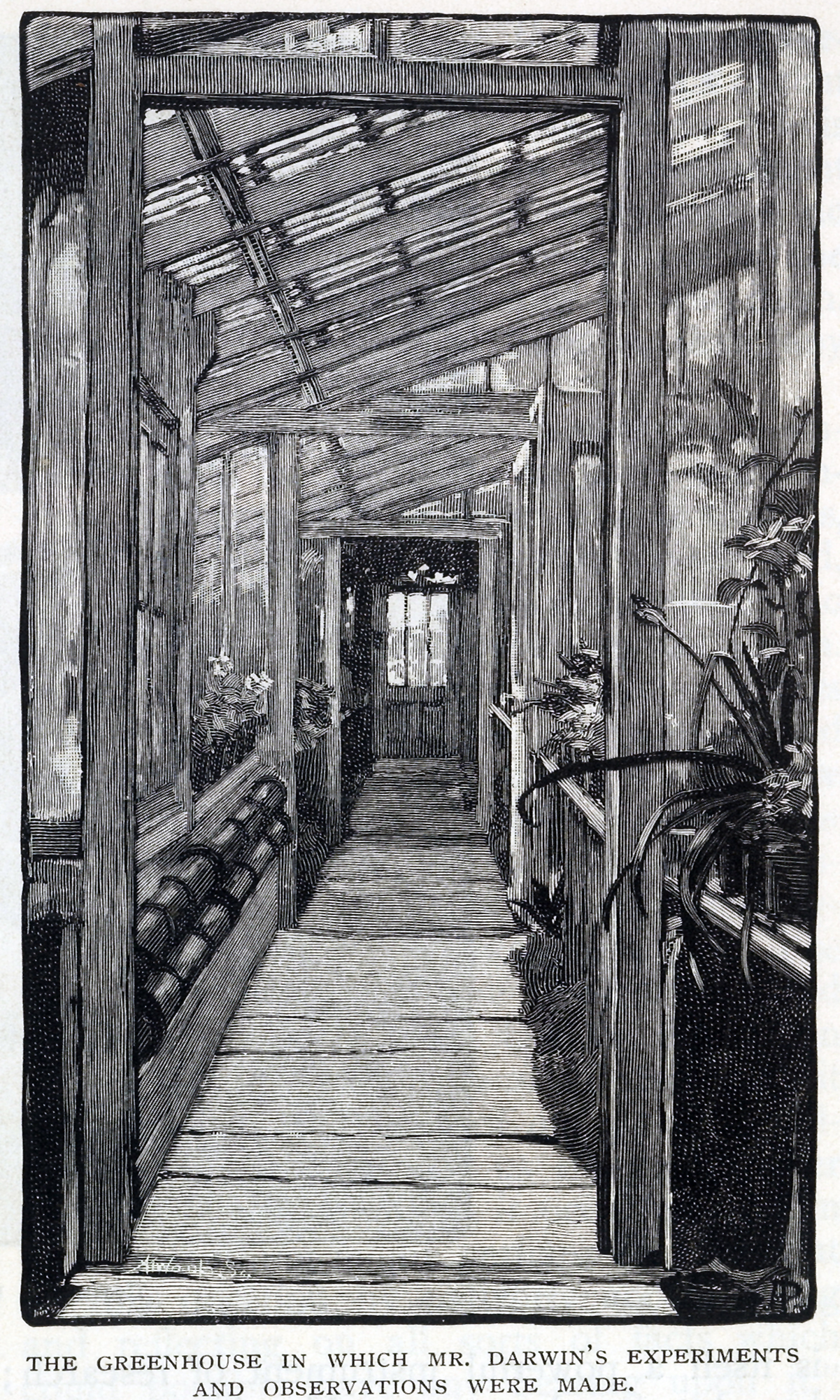 PR-Q-00900-00001-C-00002-000-00025_p423