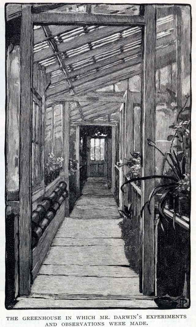 PR-Q-00900-00001-C-00002-000-00025_p423