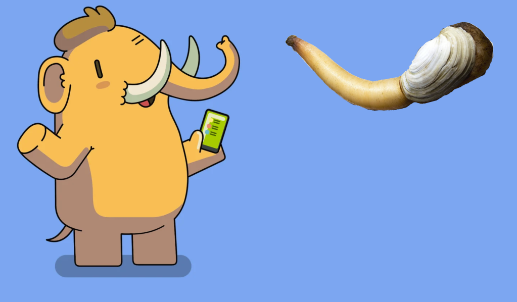 A geoduck clam (also called "elephant clams") next to the elephant-like Mastodon mascot. The clam has along trunk-like siphon.